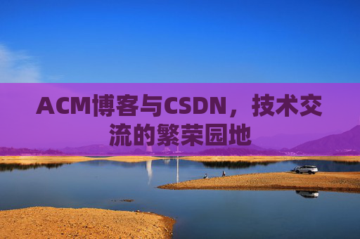 ACM博客与CSDN，技术交流的繁荣园地
